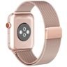 TECH-PROTECT Milaneseband Apple Watch 1/2/3/4 (38/40 Mm) Gold Gold