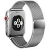 TECH-PROTECT Milaneseband Apple Watch 1/2/3/4 (38/40 Mm) Silver Silver